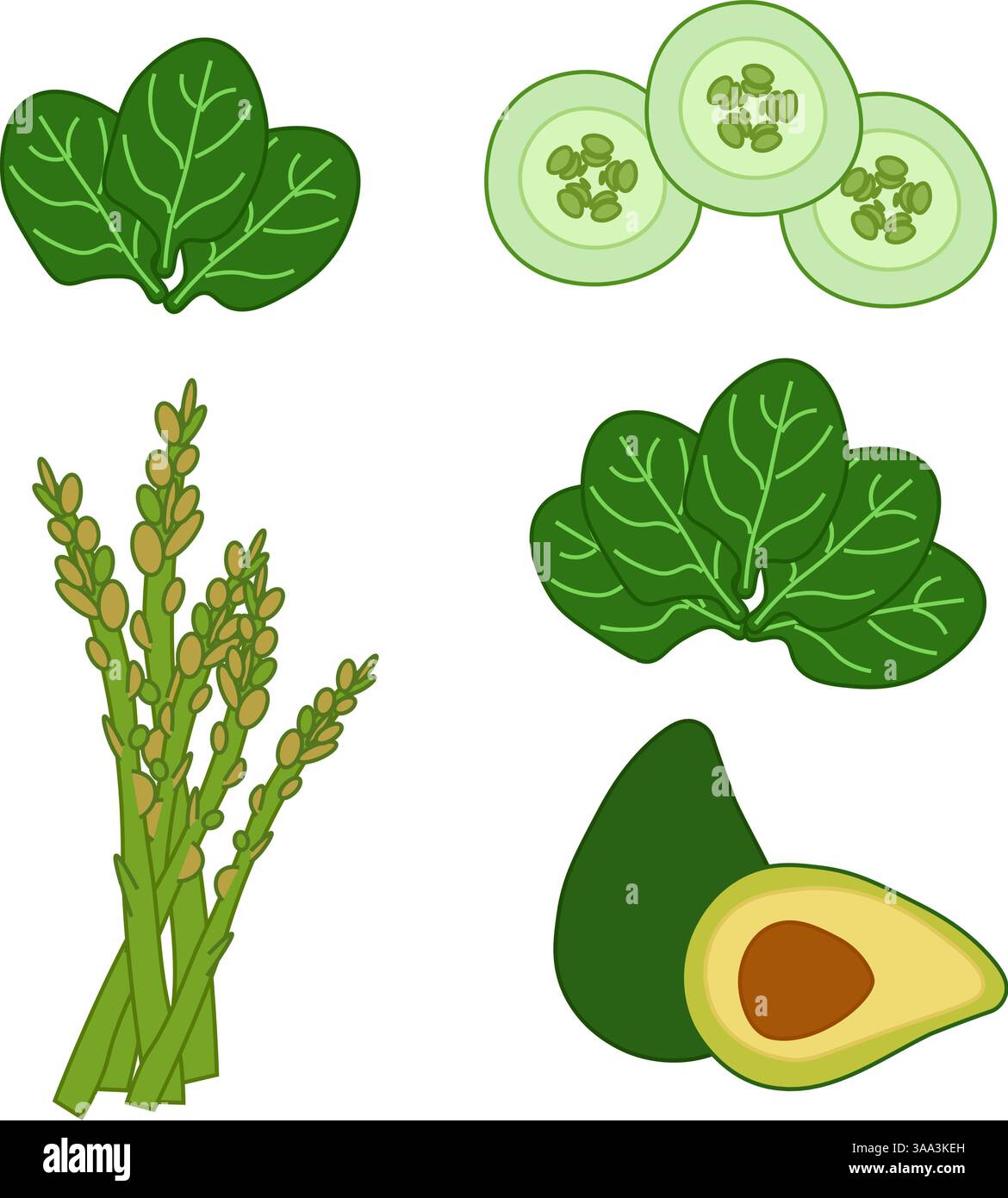Foglie di spinaci, cetrioli tagliati, asparagi. set di composizione avocado. Immagine piatta vettoriale delle verdure verdi su sfondo trasparente. Per il logo, noi Illustrazione Vettoriale
