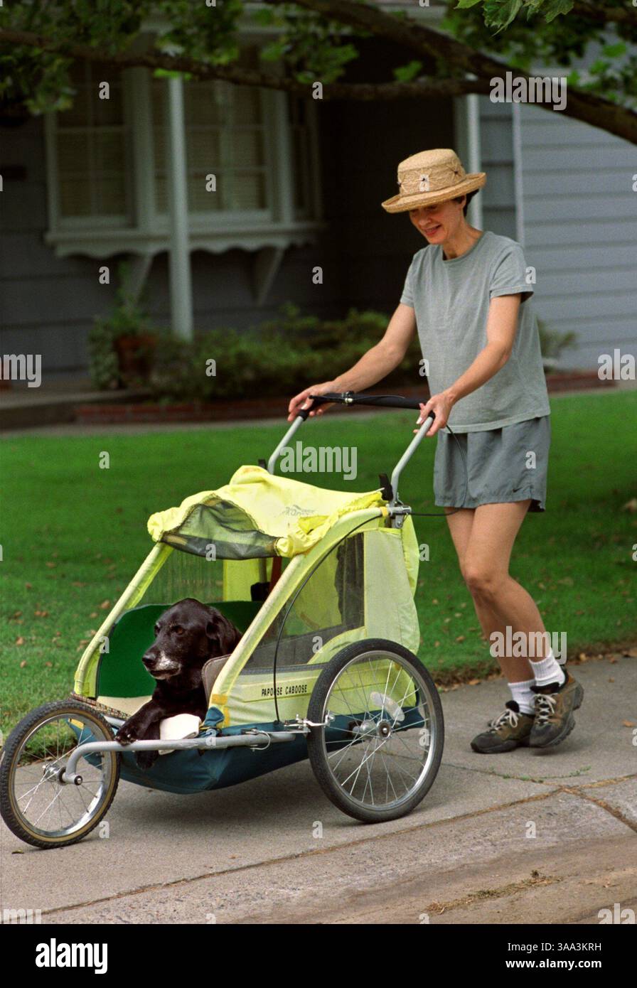Julie Stoll cammina con Joey, dodicenne Labrador retriever, a Sacramento, mercoledì 27 giugno 2001. Joey ha un problema al midollo spinale e Stoll ha avuto il passeggino appositamente adattato per lui 4 anni fa in modo che potesse continuare a uscire con il cane, che in precedenza era il suo compagno di corsa. (Sacramento Bee/ Leilani Hu ) /ZUMA Press Foto Stock