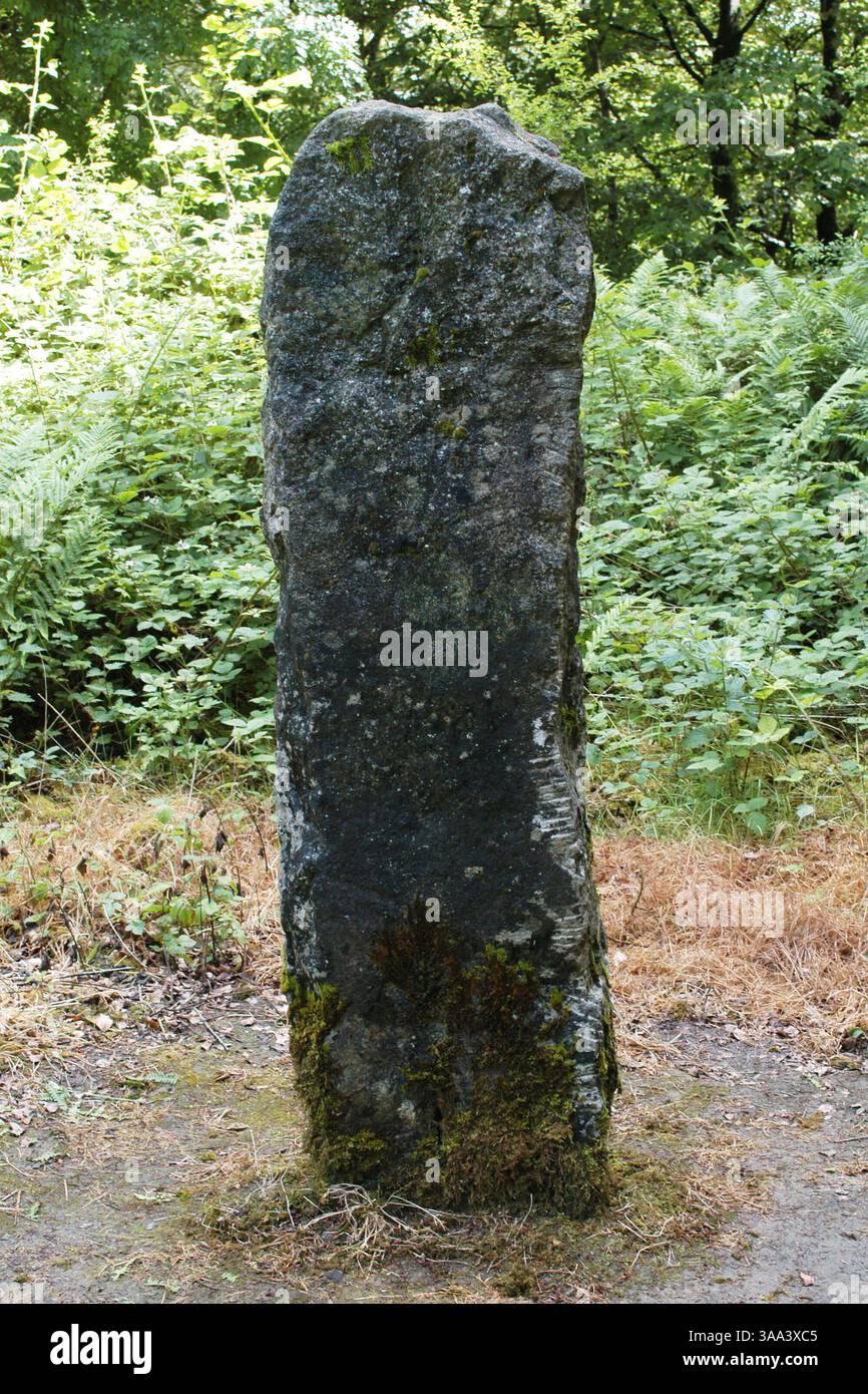 15 luglio 2005; Quin, Contea di Clare, IRLANDA; i restauri e la ricostruzione in corso presso il progetto Craggaunowen sono un tentativo di ricreare alcune caratteristiche della vita quotidiana durante i periodi preistorici e paleocristiani del passato irlandese. Qui, un'antica pietra di Ogham con scritta irlandese preistorica scolpita sul bordo. Credito obbligatorio: Foto di Tom Kumpf/Zuma Press. (©) Copyright 2005 di Tom Kumpf Foto Stock