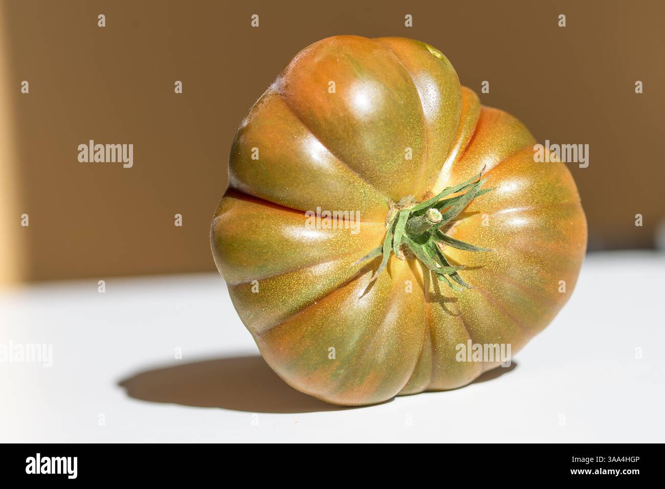 Primo piano di un pomodoro cimellato sotto la calda luce del sole, celebrando l'agricoltura biologica, la bellezza del cibo naturale e la semplicità rustica nella fotografia culinaria Foto Stock