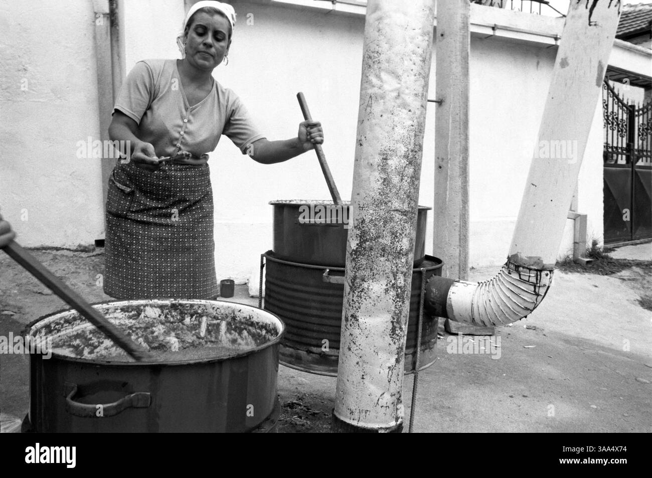 30 gennaio 2007; Bitola, MACEDONIA; in autunno, le donne fanno l'ajvar, una saporita miscela di peperoni dolci, pomodori e cipolle, per le strade di Bair, un insediamento rom illegale. Le stufe da cucina sono realizzate con rottami di ferro recuperati e il legno delle foreste circostanti è utilizzato come principale fonte di carburante per la cottura. Il legno raccolto illegalmente è un'importante fonte di energia per i rom. I rom rimangono ai margini, vendono cose nel vecchio bazar, o aspettano un lavoro sulla strada. Le persone che conosciamo oggi come rom o zingari, erano originariamente parte di un esercito in India da cui è stato reclutato Foto Stock