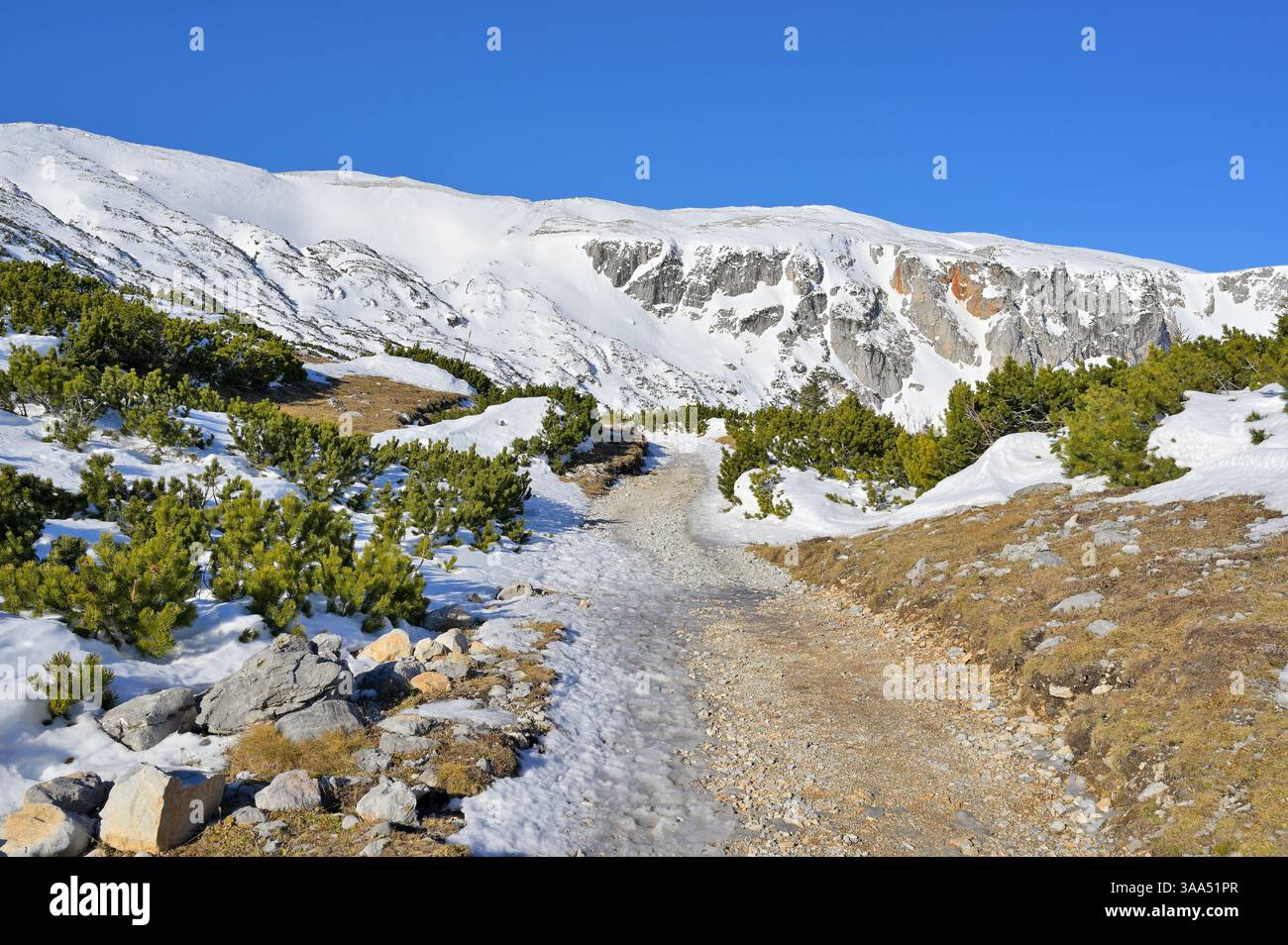 Catena montuosa panoramica innevata contro il vivace cielo blu. Soleggiato sentiero escursionistico con neve e campi di ghiaccio. Monte RAX, Alpi austriache. Foto Stock