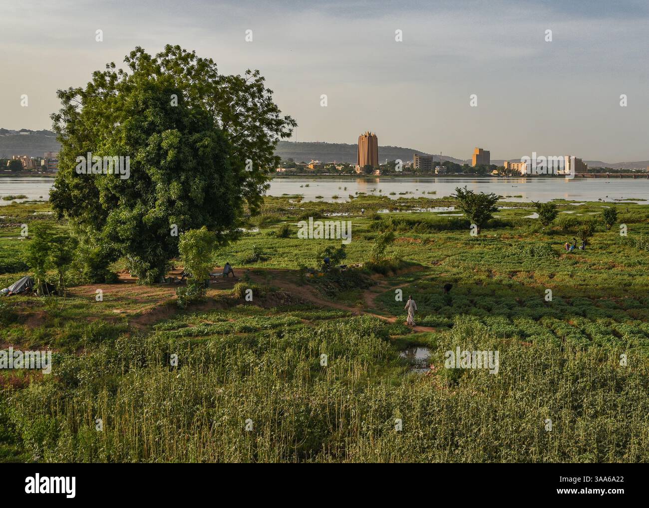 Bamako, Mali. 31 maggio 2017. Vista del fiume Niger durante la stagione calda a Bamako dalla riva destra della capitale maliana, 31 maggio 2017. Il basso livello dell'acqua del fiume lascia il posto a grandi giardini per il giardinaggio del mercato. Di fronte sulla riva sinistra si possono vedere due grandi edifici: Sulla sinistra, la torre della Banca centrale degli Stati dell'Africa Occidentale (BCEAO) e sulla destra, l'Hotel de l'amitie. - 31/05/2017 - Mali/Bamako District/Bamako - Nicolas Remene/le Pictorium credito: LE PICTORIUM/Alamy Live News Foto Stock