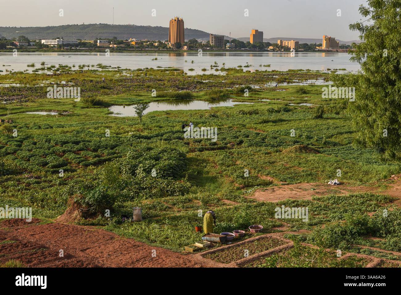 Bamako, Mali. 31 maggio 2017. Vista del fiume Niger durante la stagione calda a Bamako dalla riva destra della capitale maliana, 31 maggio 2017. Il basso livello dell'acqua del fiume lascia il posto a grandi giardini per il giardinaggio del mercato. Di fronte sulla riva sinistra si possono vedere due grandi edifici: Sulla sinistra, la torre della Banca centrale degli Stati dell'Africa Occidentale (BCEAO) e sulla destra, l'Hotel de l'amitie. - 31/05/2017 - Mali/Bamako District/Bamako - Nicolas Remene/le Pictorium credito: LE PICTORIUM/Alamy Live News Foto Stock
