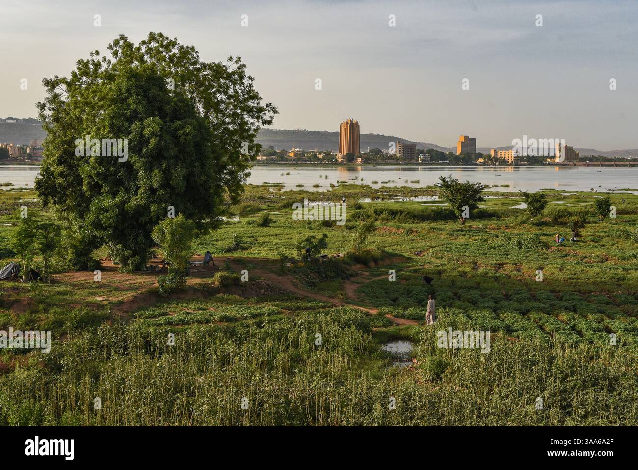 Bamako, Mali. 31 maggio 2017. Vista del fiume Niger durante la stagione calda a Bamako dalla riva destra della capitale maliana, 31 maggio 2017. Il basso livello dell'acqua del fiume lascia il posto a grandi giardini per il giardinaggio del mercato. Di fronte sulla riva sinistra si possono vedere due grandi edifici: Sulla sinistra, la torre della Banca centrale degli Stati dell'Africa Occidentale (BCEAO) e sulla destra, l'Hotel de l'amitie. - 31/05/2017 - Mali/Bamako District/Bamako - Nicolas Remene/le Pictorium credito: LE PICTORIUM/Alamy Live News Foto Stock