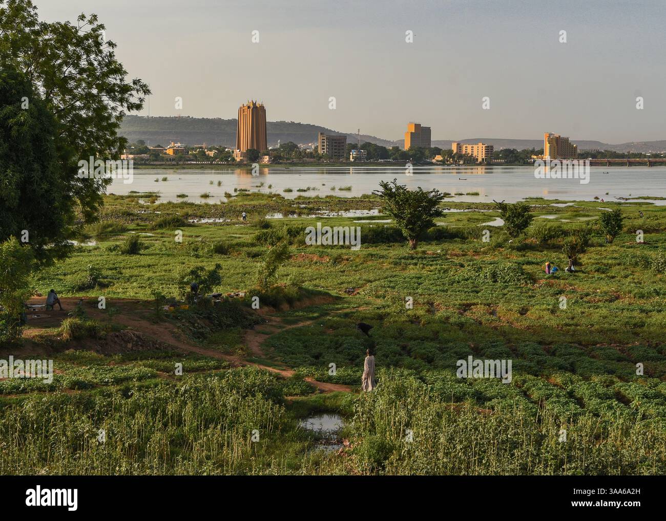 Bamako, Mali. 31 maggio 2017. Vista del fiume Niger durante la stagione calda a Bamako dalla riva destra della capitale maliana, 31 maggio 2017. Il basso livello dell'acqua del fiume lascia il posto a grandi giardini per il giardinaggio del mercato. Di fronte sulla riva sinistra si possono vedere due grandi edifici: Sulla sinistra, la torre della Banca centrale degli Stati dell'Africa Occidentale (BCEAO) e sulla destra, l'Hotel de l'amitie. - 31/05/2017 - Mali/Bamako District/Bamako - Nicolas Remene/le Pictorium credito: LE PICTORIUM/Alamy Live News Foto Stock
