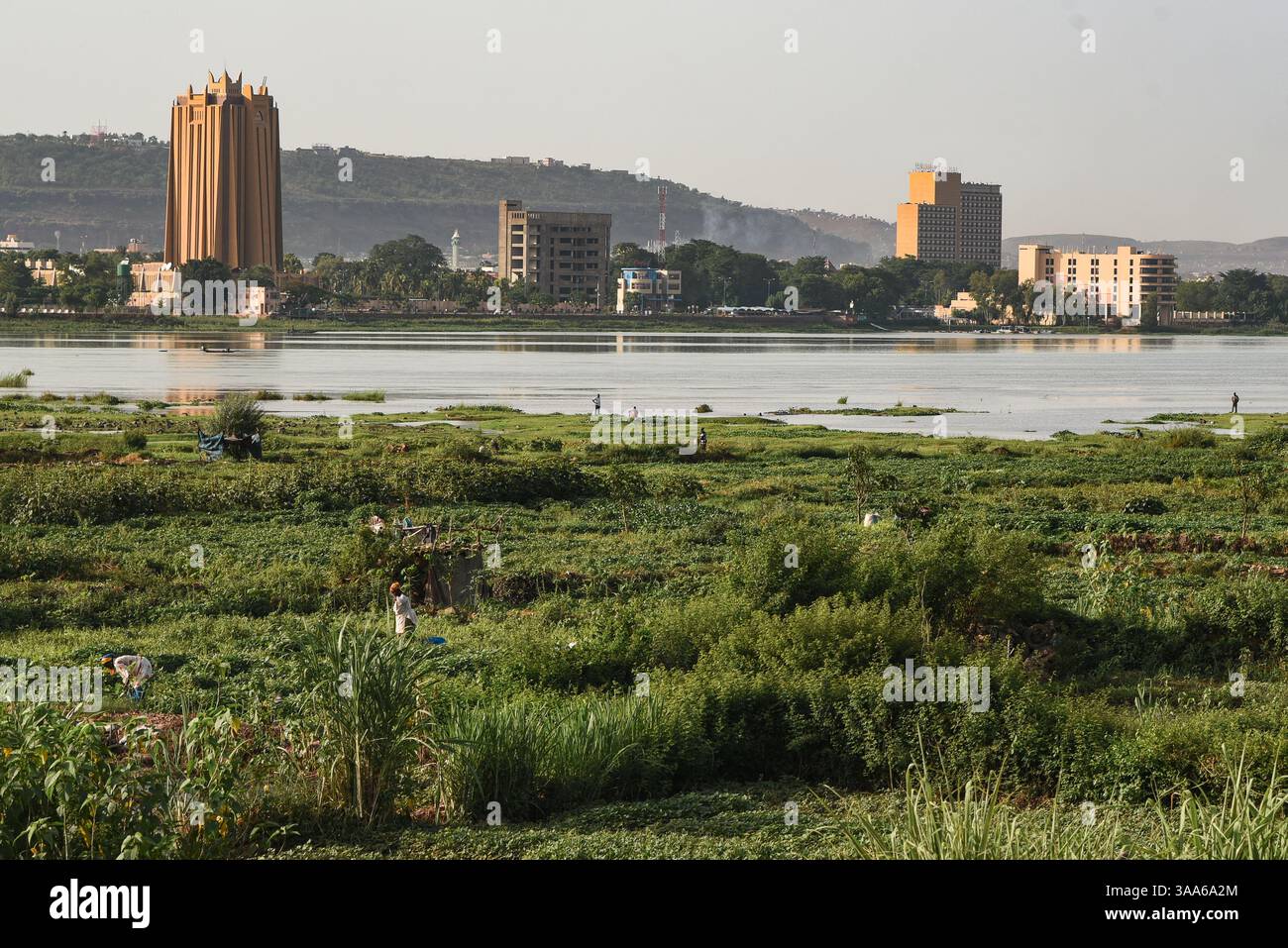 Bamako, Mali. 31 maggio 2017. Vista del fiume Niger durante la stagione calda a Bamako dalla riva destra della capitale maliana, 31 maggio 2017. Il basso livello dell'acqua del fiume lascia il posto a grandi giardini per il giardinaggio del mercato. Di fronte sulla riva sinistra si possono vedere due grandi edifici: Sulla sinistra, la torre della Banca centrale degli Stati dell'Africa Occidentale (BCEAO) e sulla destra, l'Hotel de l'amitie. - 31/05/2017 - Mali/Bamako District/Bamako - Nicolas Remene/le Pictorium credito: LE PICTORIUM/Alamy Live News Foto Stock