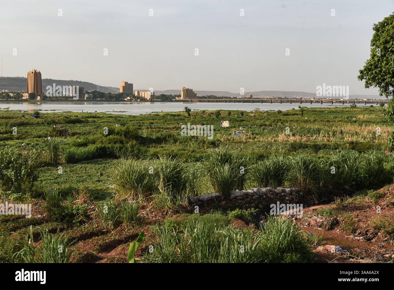 Bamako, Mali. 31 maggio 2017. Vista del fiume Niger durante la stagione calda a Bamako dalla riva destra della capitale maliana, 31 maggio 2017. Il basso livello dell'acqua del fiume lascia il posto a grandi giardini per il giardinaggio del mercato. Di fronte sulla riva sinistra si possono vedere due grandi edifici: Sulla sinistra, la torre della Banca centrale degli Stati dell'Africa Occidentale (BCEAO) e sulla destra, l'Hotel de l'amitie. - 31/05/2017 - Mali/Bamako District/Bamako - Nicolas Remene/le Pictorium credito: LE PICTORIUM/Alamy Live News Foto Stock