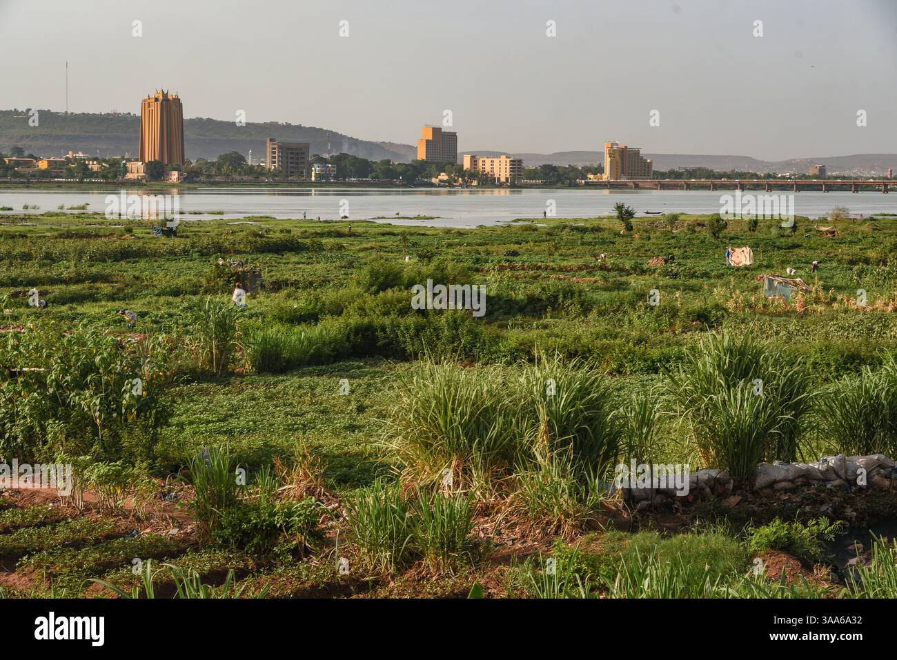 Bamako, Mali. 31 maggio 2017. Vista del fiume Niger durante la stagione calda a Bamako dalla riva destra della capitale maliana, 31 maggio 2017. Il basso livello dell'acqua del fiume lascia il posto a grandi giardini per il giardinaggio del mercato. Di fronte sulla riva sinistra si possono vedere due grandi edifici: Sulla sinistra, la torre della Banca centrale degli Stati dell'Africa Occidentale (BCEAO) e sulla destra, l'Hotel de l'amitie. - 31/05/2017 - Mali/Bamako District/Bamako - Nicolas Remene/le Pictorium credito: LE PICTORIUM/Alamy Live News Foto Stock