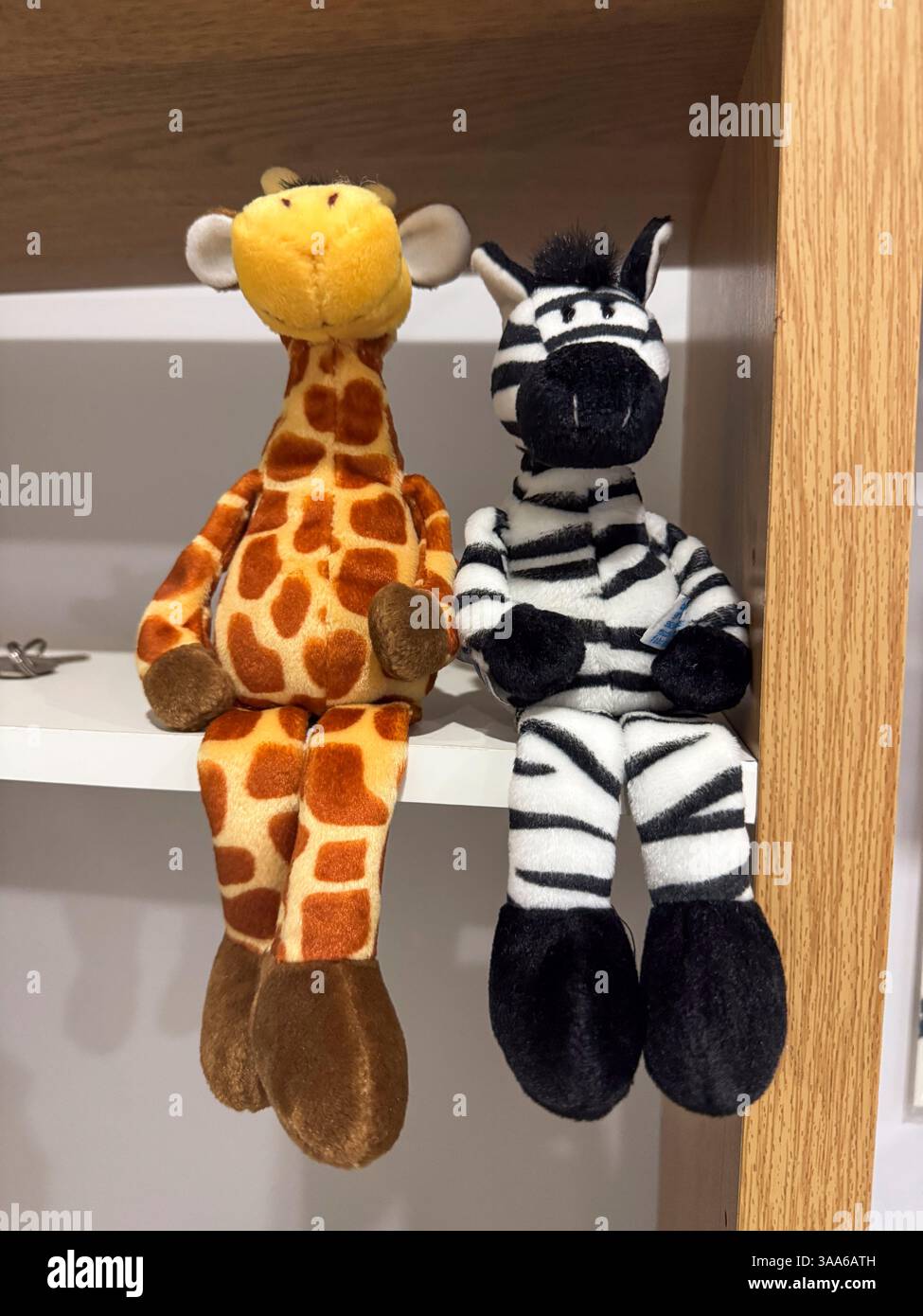 2 giocattoli imbottiti, una giraffa e una zebra rivolte verso la fotocamera. Seduti su uno scaffale. Adelaide, Australia Foto Stock
