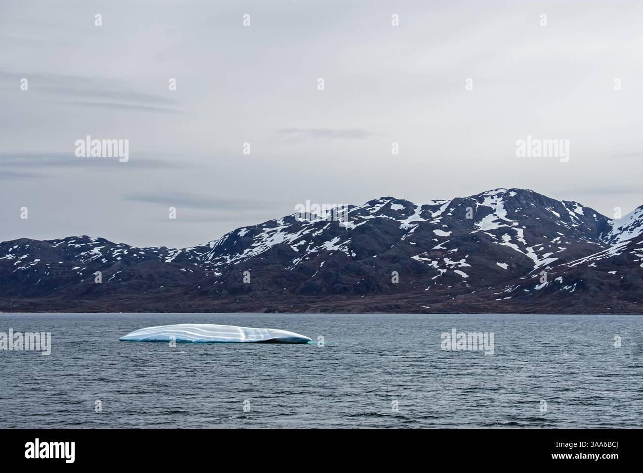 Iceberg galleggiante nel fiordo di Arsuk, in Groenlandia, con torreggianti montagne artiche e acque ghiacciate che creano uno splendido e remoto paesaggio polare Foto Stock