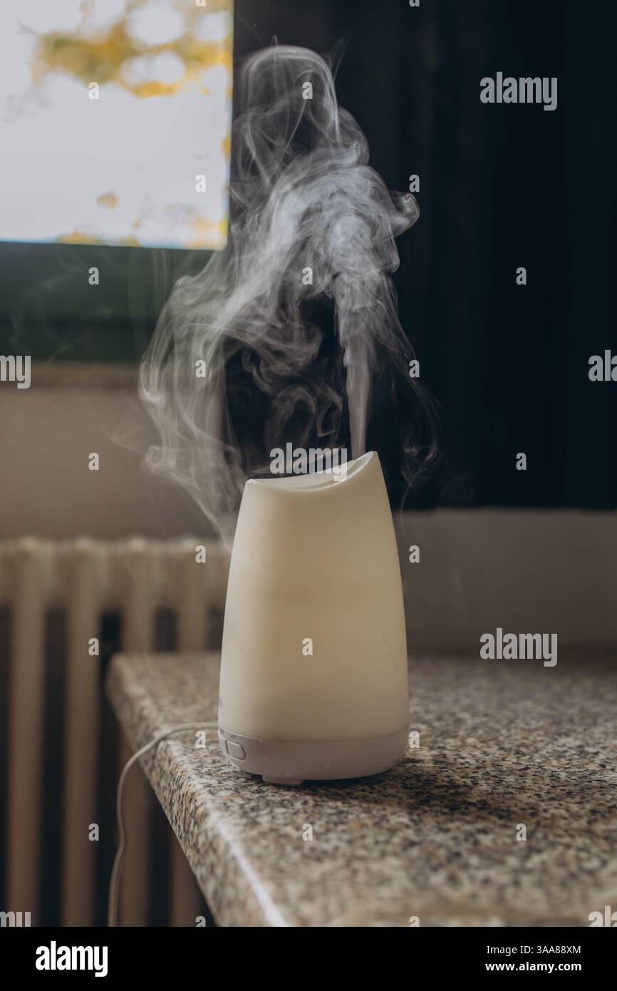 Diffusore di olio aromatico sul tavolo su sfondo grigio. Deodorante per ambienti. Foto di alta qualità Foto Stock