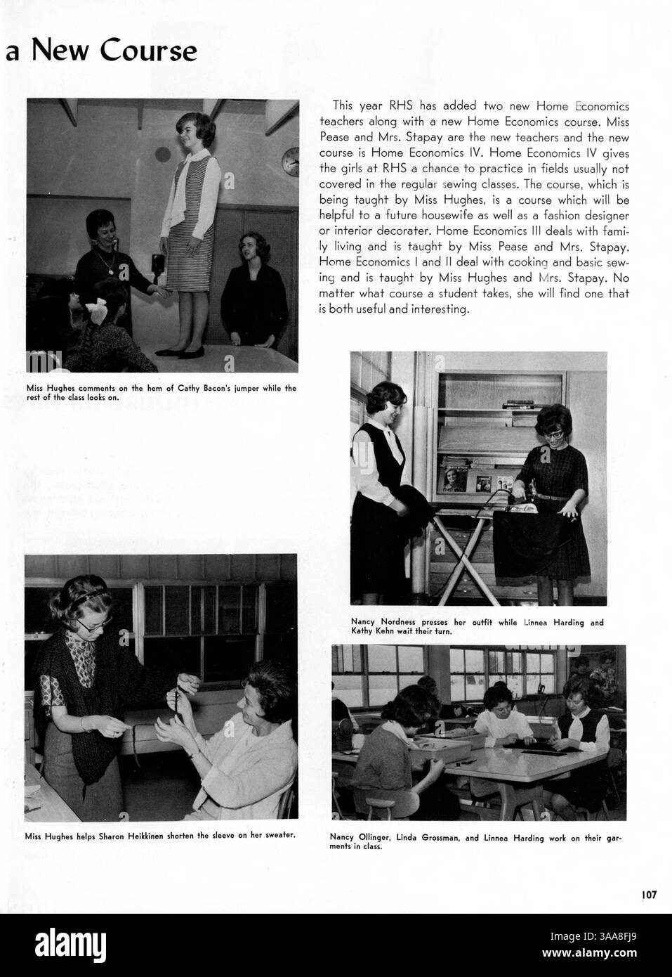 Il Robbinsdale High School Yearbook 1964, "The Robin", è un record di contributi di studenti e insegnanti, con foto e momenti salienti di eventi sportivi, club ed accademici dell'anno 1963-1964. Foto Stock