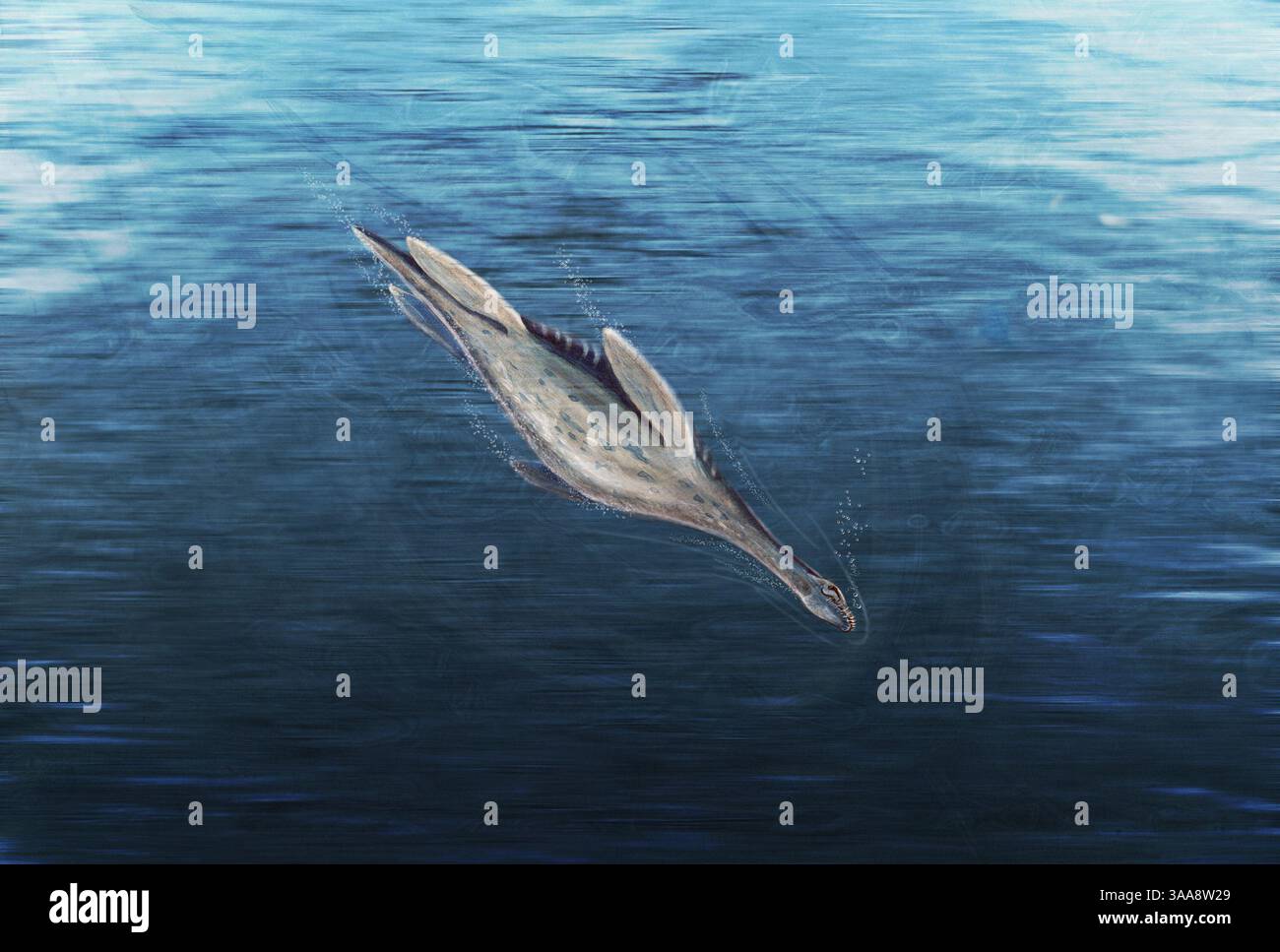 La rappresentazione di questo artista di un plesiosauro che si tuffa al largo della costa antartica 70 milioni di anni fa è stata ispirata dalla recente scoperta di uno scheletro giovanile di plesiosauro quasi completo e completamente articolato. Le ossa fossilizzate sono state scoperte sull'isola Vega dal ricercatore sul campo del Museo di Paleontologia dell'UC Berkeley Judd Case e dal suo team di spedizione Antartico americano-argentino. (Nicolle Rager/National Science Foundation/ZUMA Press) Foto Stock