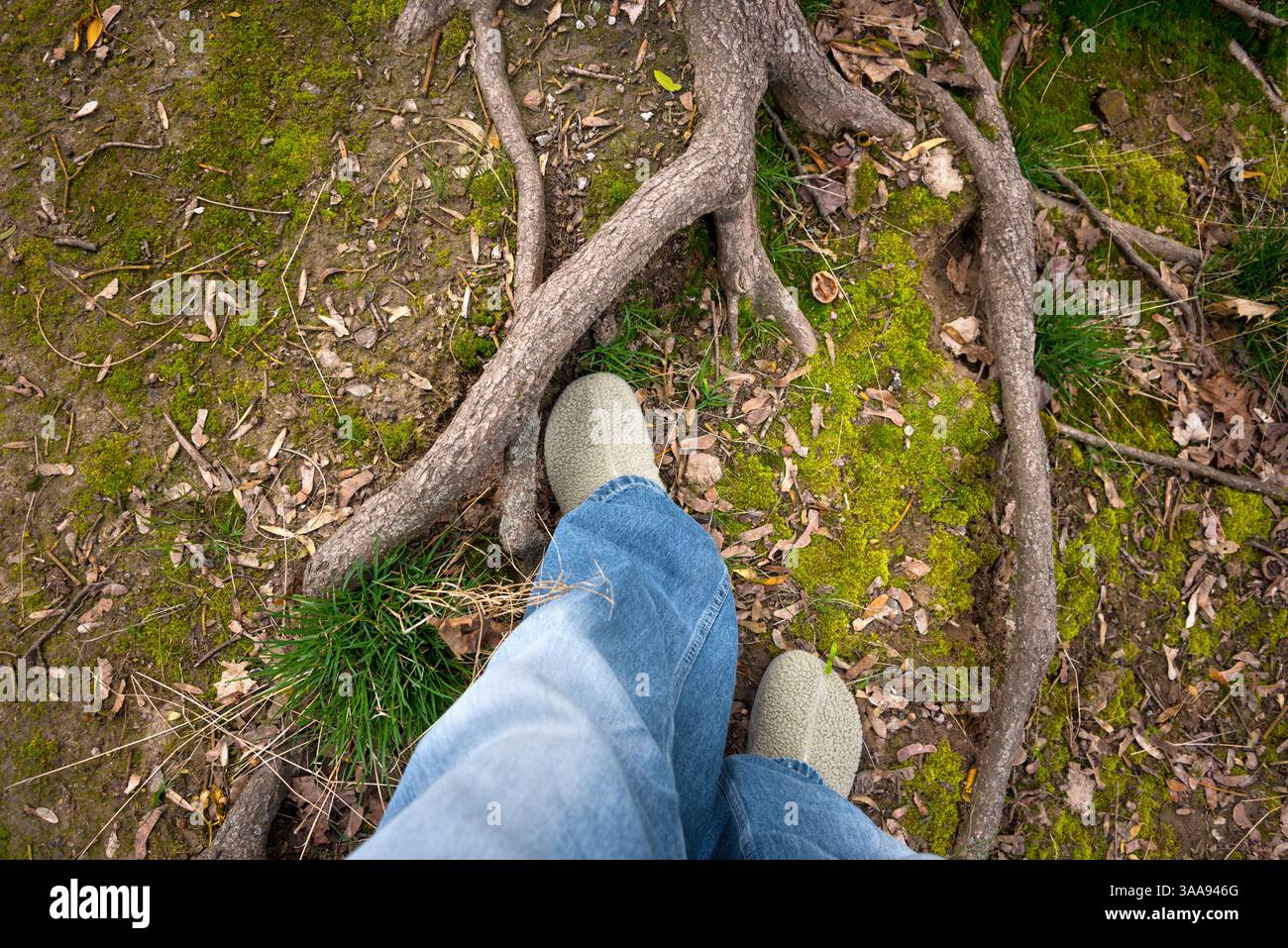 Una vista dall'alto dei piedi in scarpe casual su un pavimento della foresta ricoperto di muschio, radici e foglie, che ritrae un ambiente naturale e sereno Foto Stock