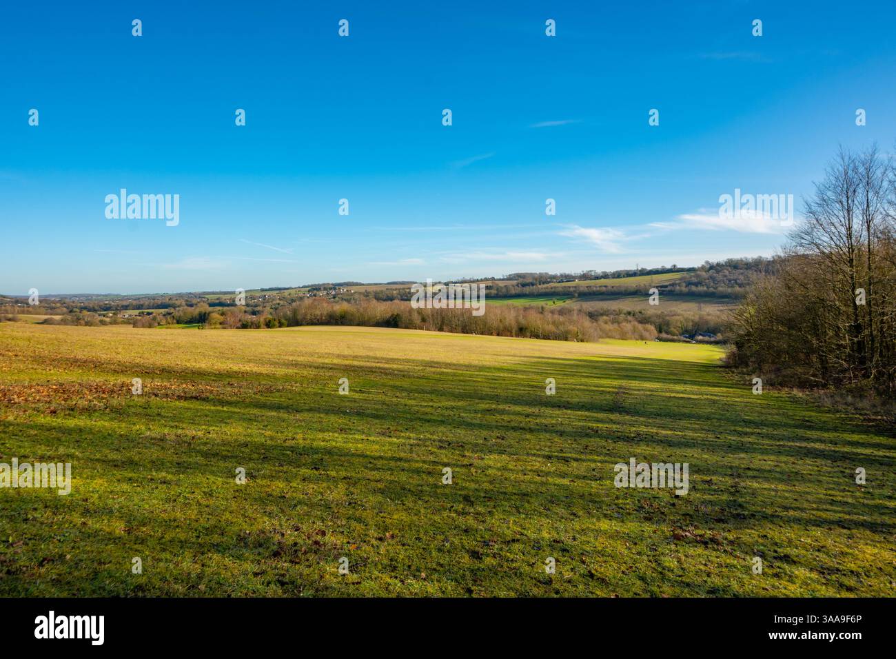 Il Darenth Vally del parco di campagna di Lullingstone nel Kent Foto Stock