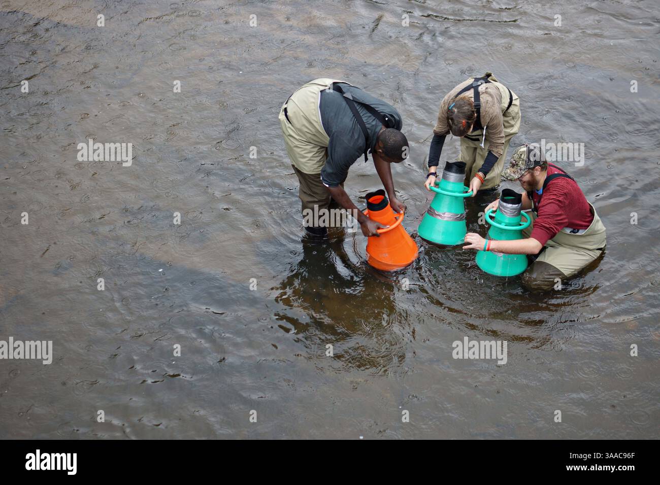 6 ottobre 2014 - Asheville, North Carolina, Stati Uniti d'America - biologi e studenti della classe di ecologia acquatica del Montreat College cercano la vita marina nella parte occidentale del Nord CarolinaÃs Little Tennessee River 6 ottobre 2014 vicino ad Asheville, North Carolina. Gli studenti stavano studiando la cozza degli elktoi degli Appalachi in via di estinzione. (Immagine di credito: © Gary Peeples/Planet Pix tramite cavo ZUMA) Foto Stock