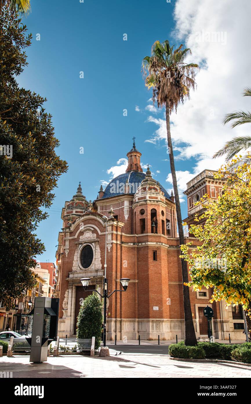 Ficus Centenario Large Ficus Tree in Plaza Maria Agustina, Castellón De la Plana, Spagna Foto Stock