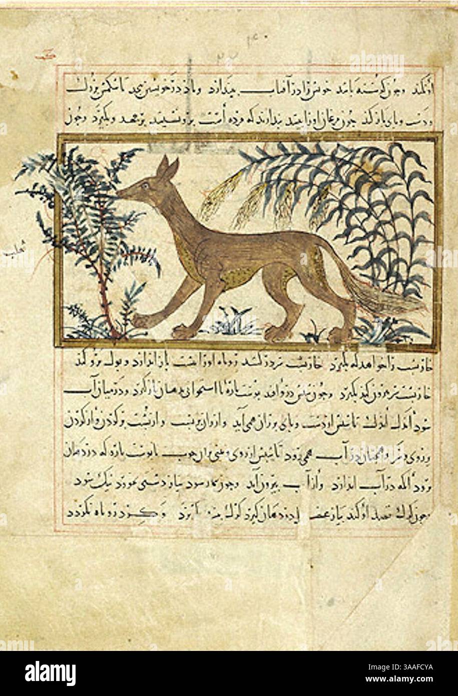 Iran, Maragheh, 1297-1298 o 1299-1300 Fox in profilo. Foto Stock