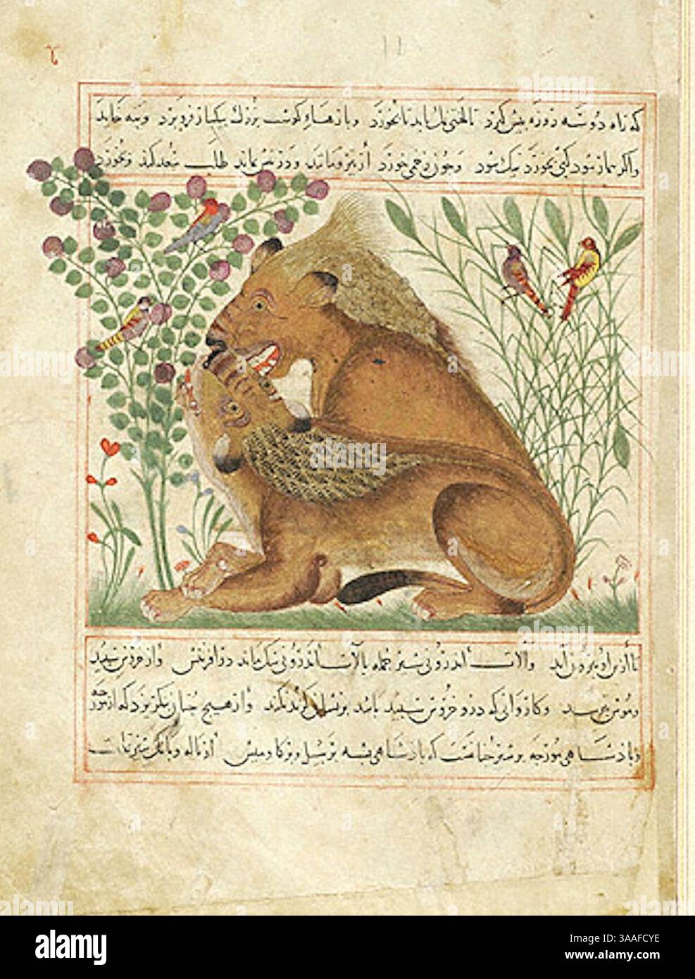 Iran, Maragheh, 1297-1298 o 1299-1300, signora M.500 folio 11r leone seduto dietro leonessa reclinata. Foto Stock