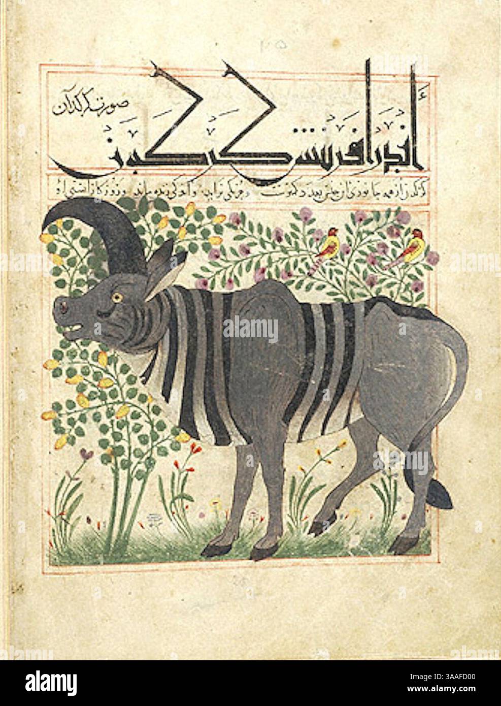Iran, Maragheh, 1297-1298 o 1299-1300, sig.ra M.500 folio 14r Rhinoceros. Foto Stock