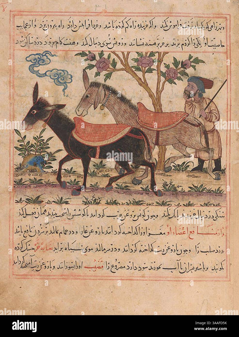 Iran, Maragheh, 1297-1298 o 1299-1300, sig.ra M.500 folio 31r due assi. Foto Stock