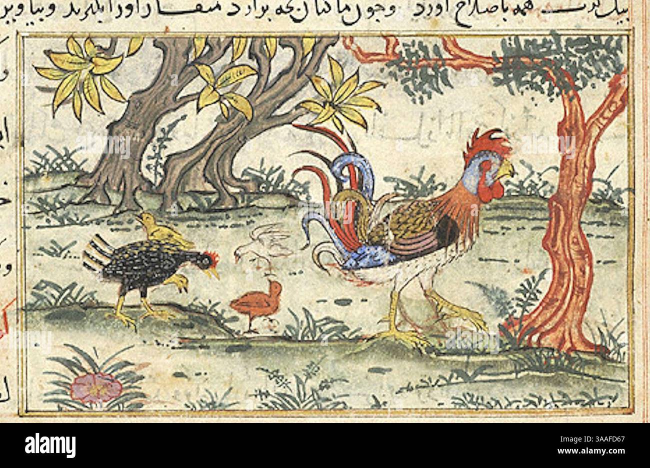 Iran, Maragheh, 1297-1298 o 1299-1300, sig.ra M.500 folio 63r Hen and Chicks. Foto Stock