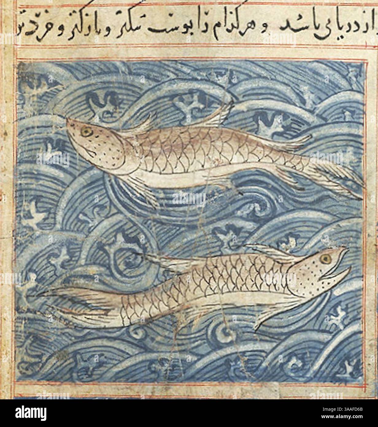 Iran, Maragheh, 1297-1298 o 1299-1300, sig.ra M.500 folio 78v Two FISH. Foto Stock