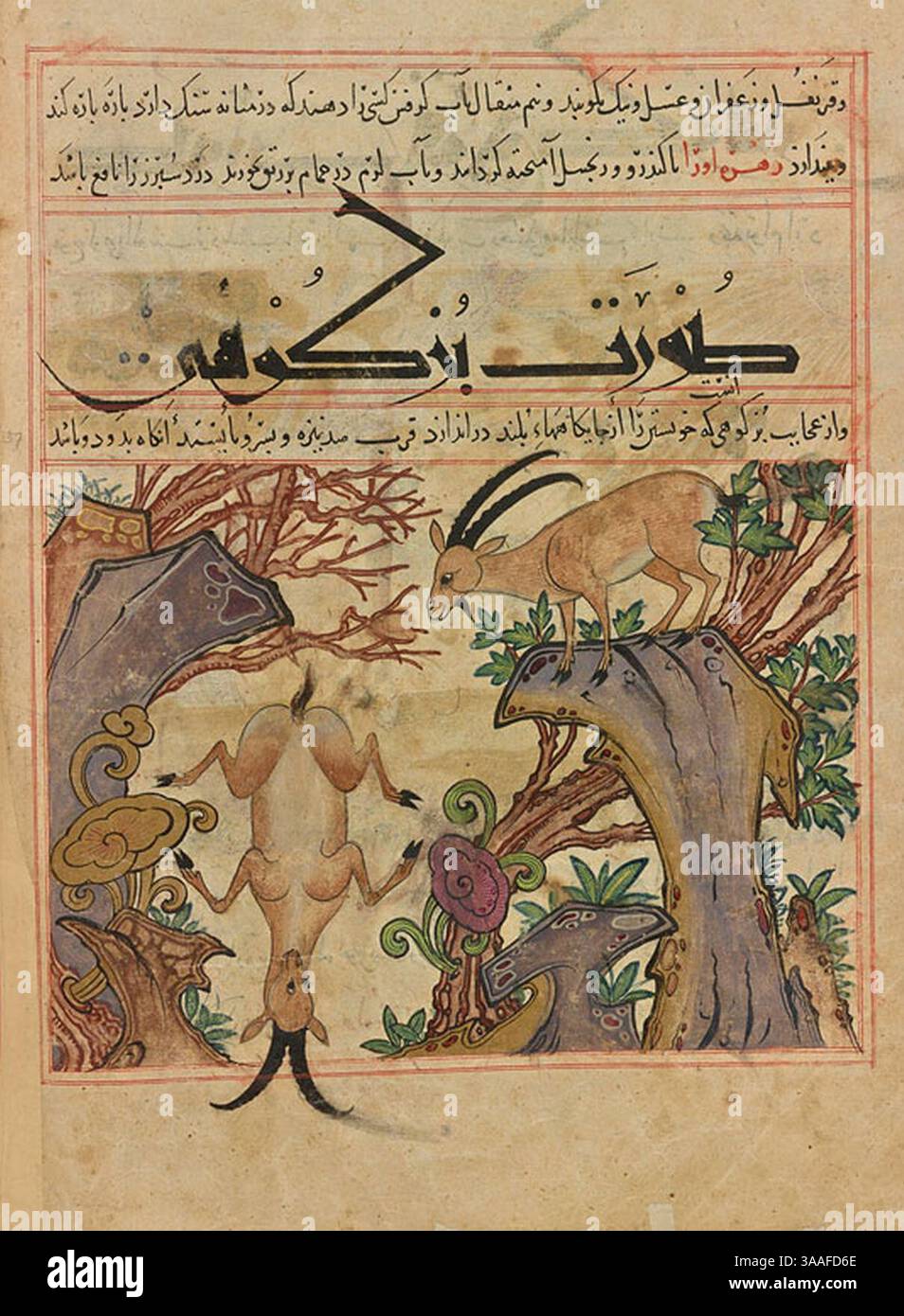 Iran, Maragheh, 1297-1298 o 1299-1300, signora M.500 folio 37v capra di montagna che salta giù dalla scogliera. Foto Stock