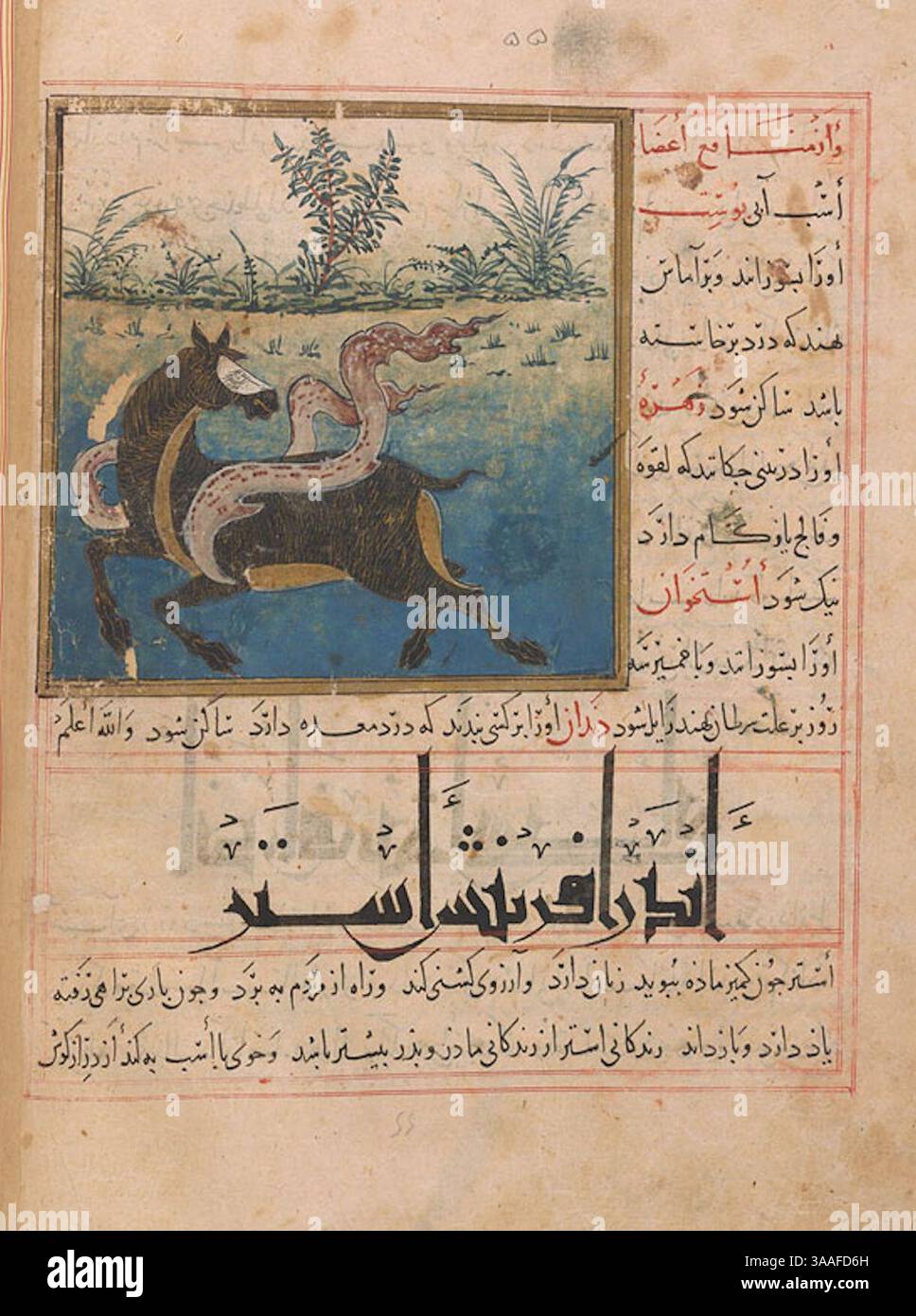 Iran, Maragheh, 1297-1298 o 1299-1300, signora M.500 folio 29v fantastico cavallo con fiamme di rosa. Foto Stock