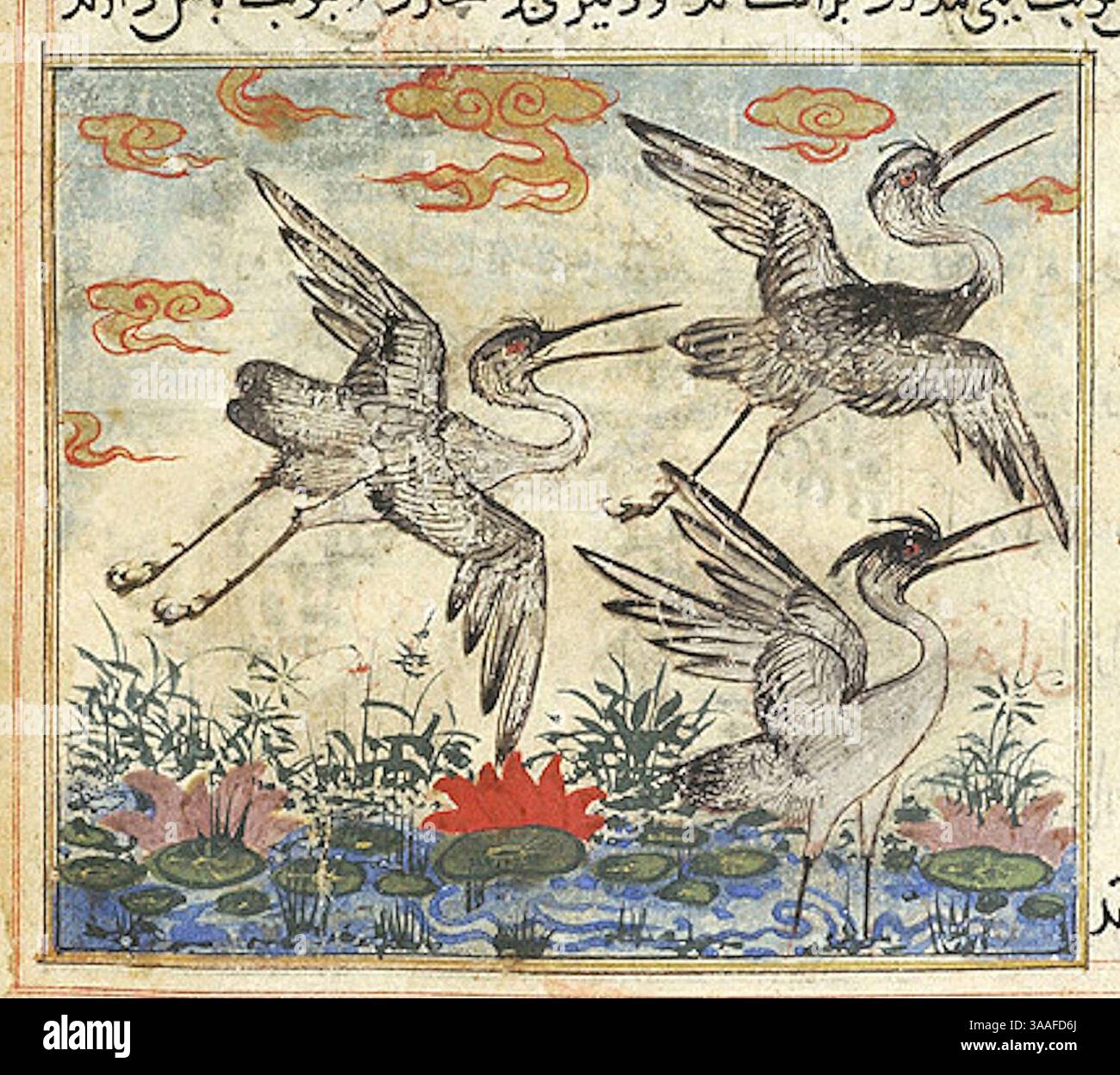 Iran, Maragheh, 1297-1298 o 1299-1300, M.500 folio 66v tre gru. Foto Stock