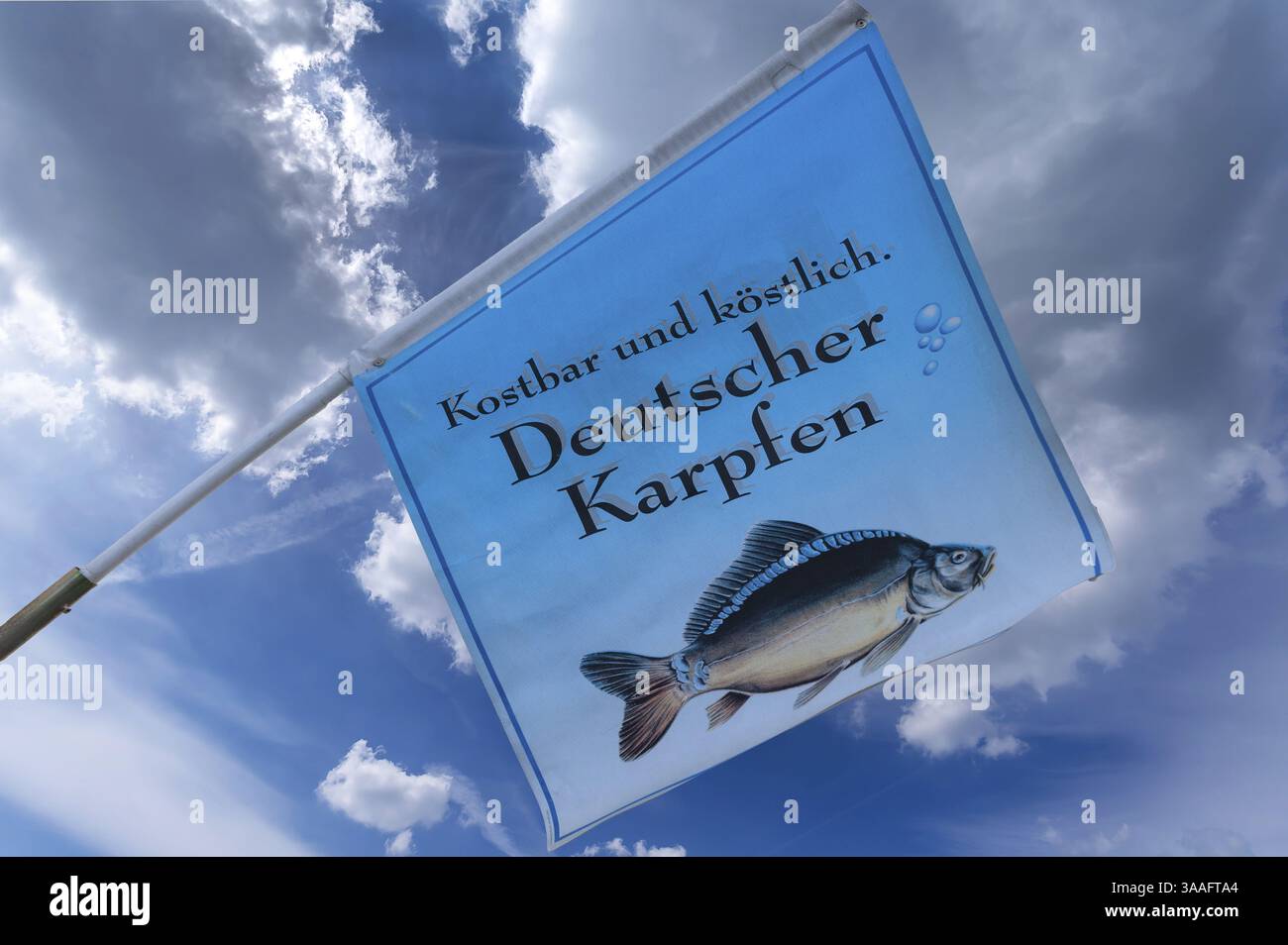 Bandiera con carpa di fronte a un ristorante di pesce, Norimberga, Franconia media, Baviera, Germania, Europa Foto Stock