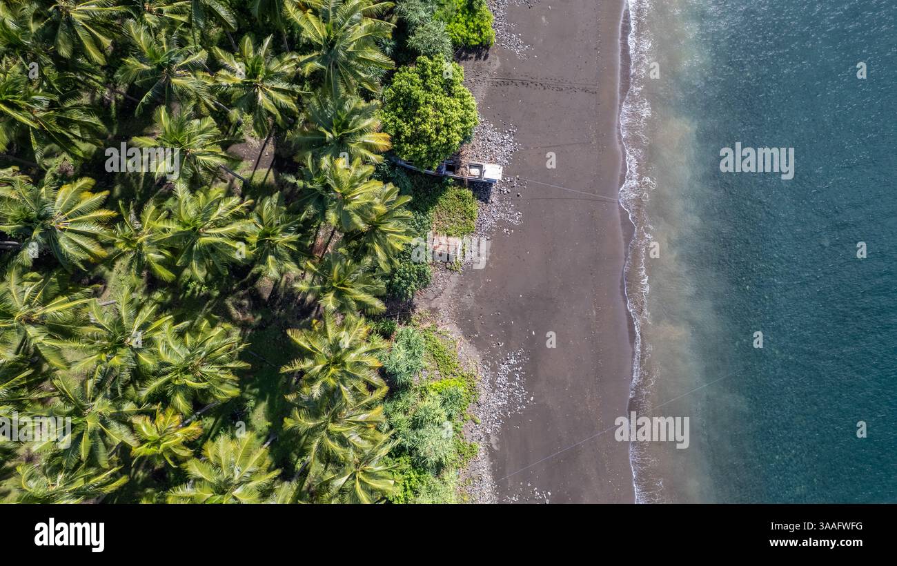 Una splendida vista aerea di una spiaggia tropicale dove lussureggianti alberi di cocco si incontrano con l'oceano cristallino. Foto Stock