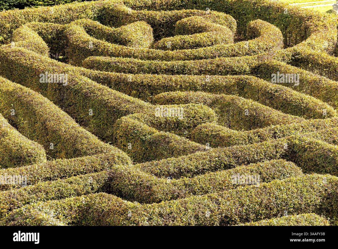 Labirinto in un giardino botanico in Polonia Foto Stock