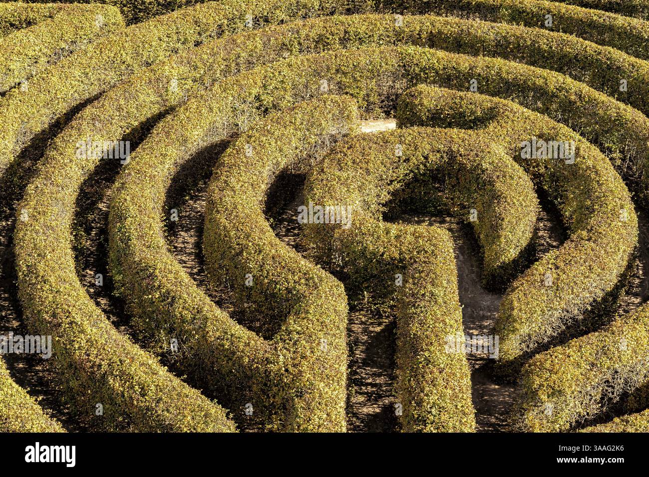 Labirinto in un giardino botanico in Polonia Foto Stock