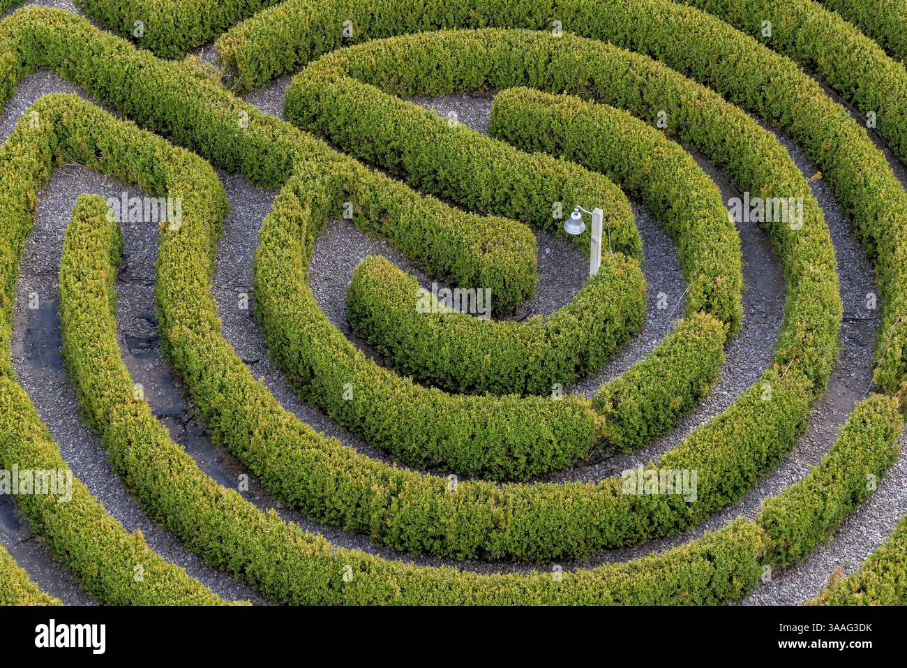 Labirinto in un giardino botanico in Polonia Foto Stock
