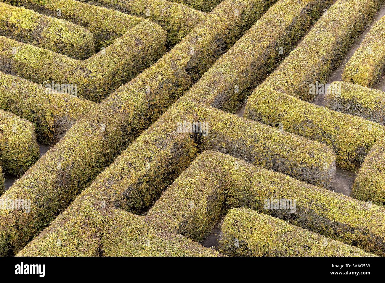 Labirinto in un giardino botanico in Polonia Foto Stock
