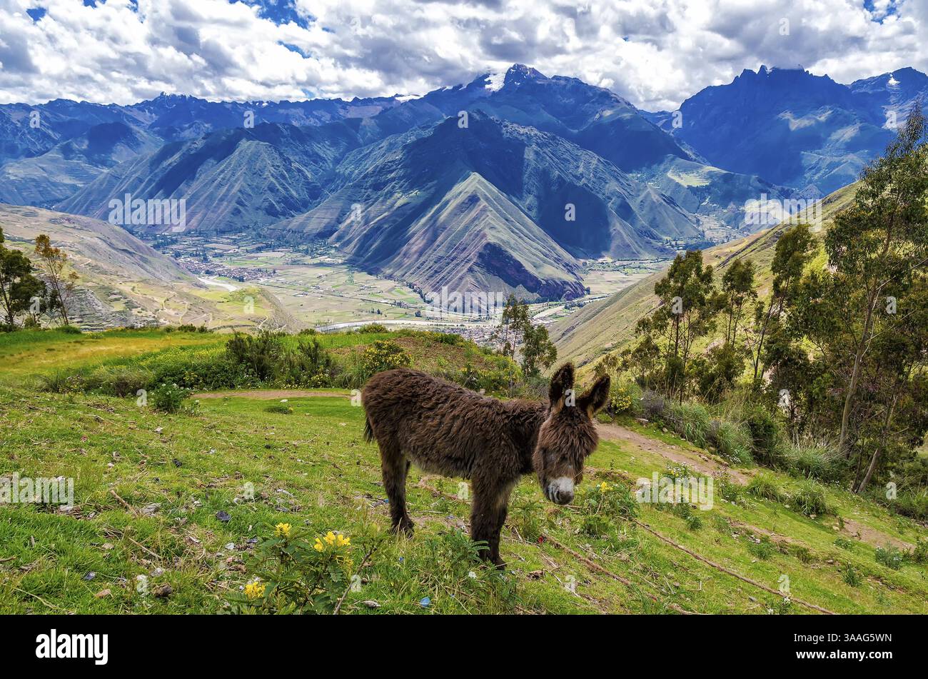 Ande del Perù Foto Stock