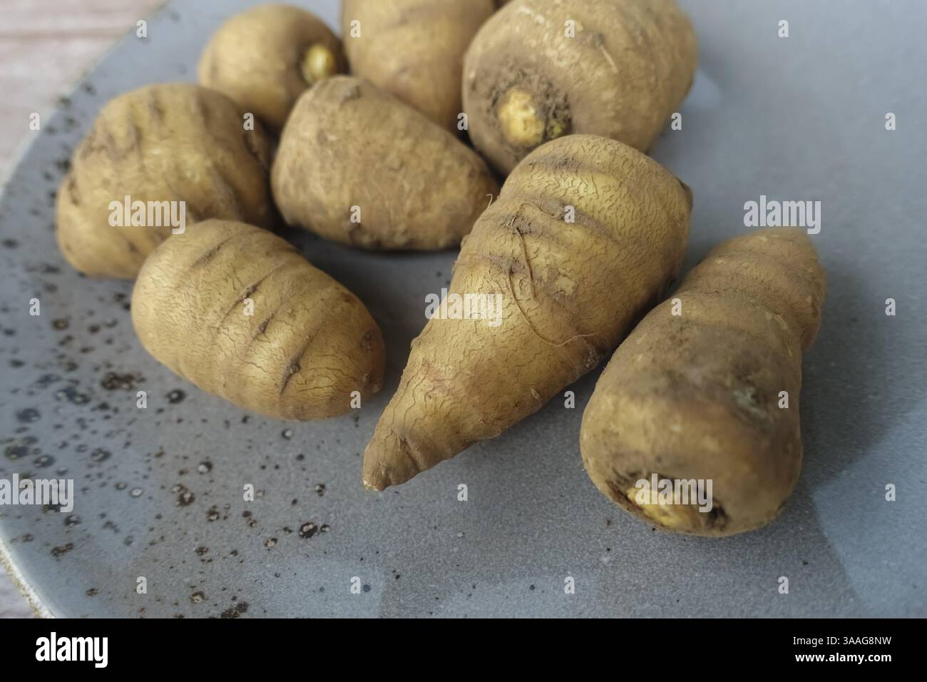 Chaerophyllum bulbosum (Chaerophyllum bulbosum), rapa chervil, bulbo chervil, radice sana, nutrizione sana, cucina vegetale, fotografia gastronomica, s Foto Stock