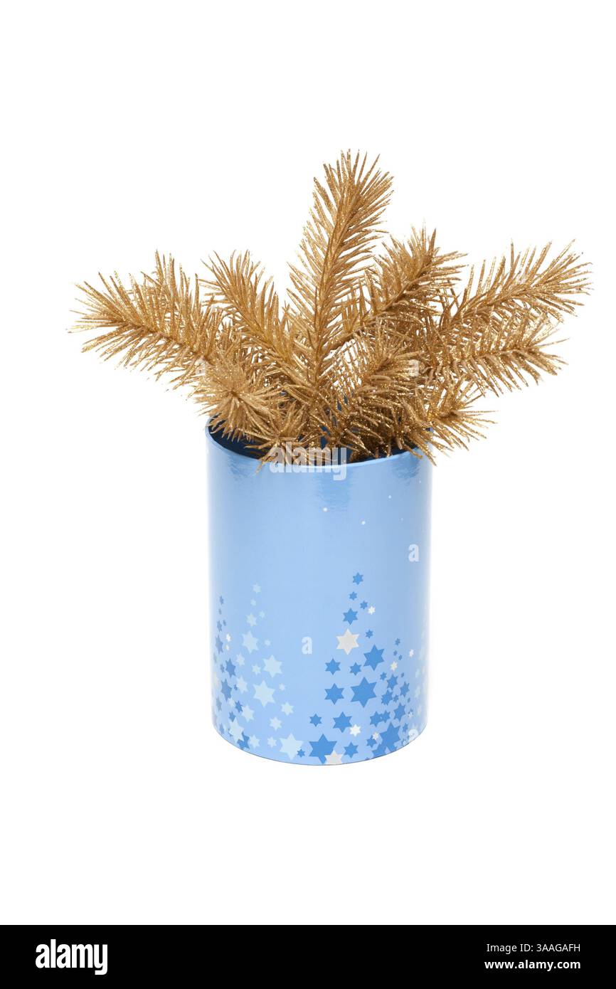 Il ramo d'oro abete su sfondo bianco Foto Stock