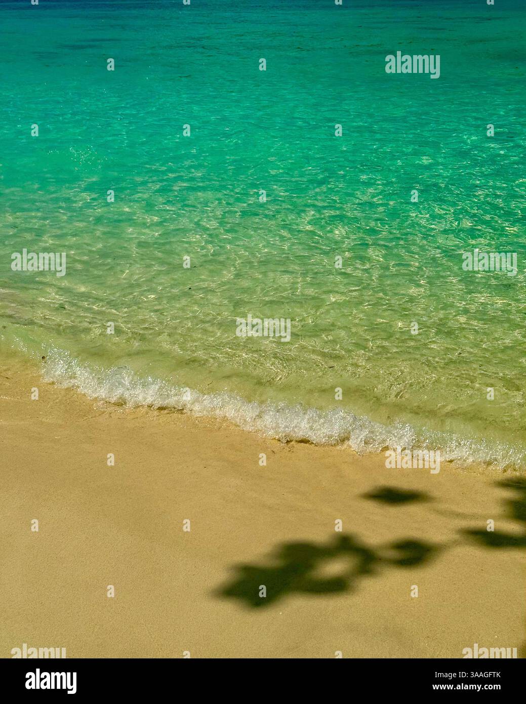 Spiaggia tropicale con acque turchesi limpide e onde dolci, tranquilla spiaggia tropicale con acque turchesi cristalline che si lavano delicatamente su morbide e dorate sa Foto Stock