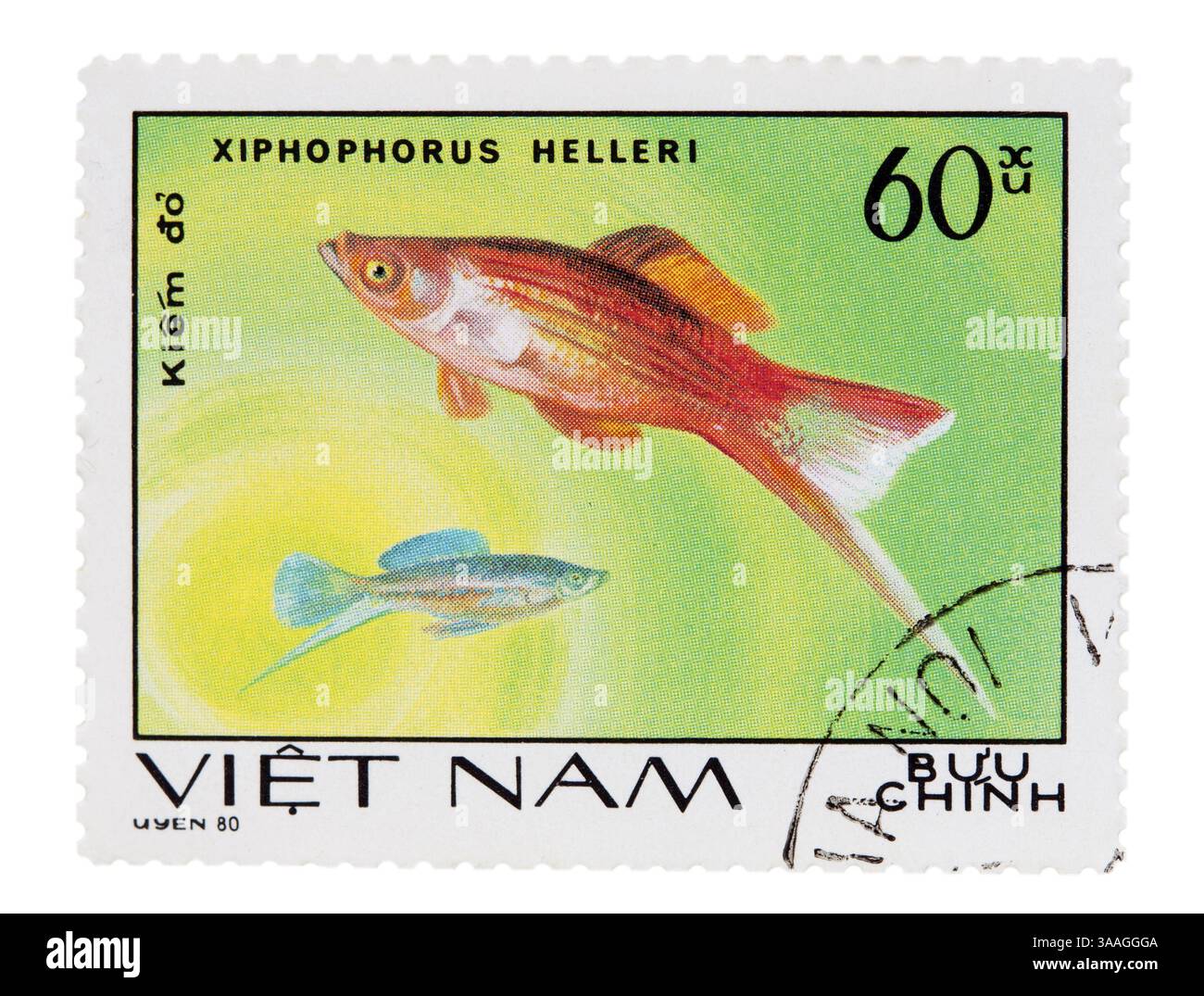 Francobollo con una foto di un acquario di pesci Foto Stock