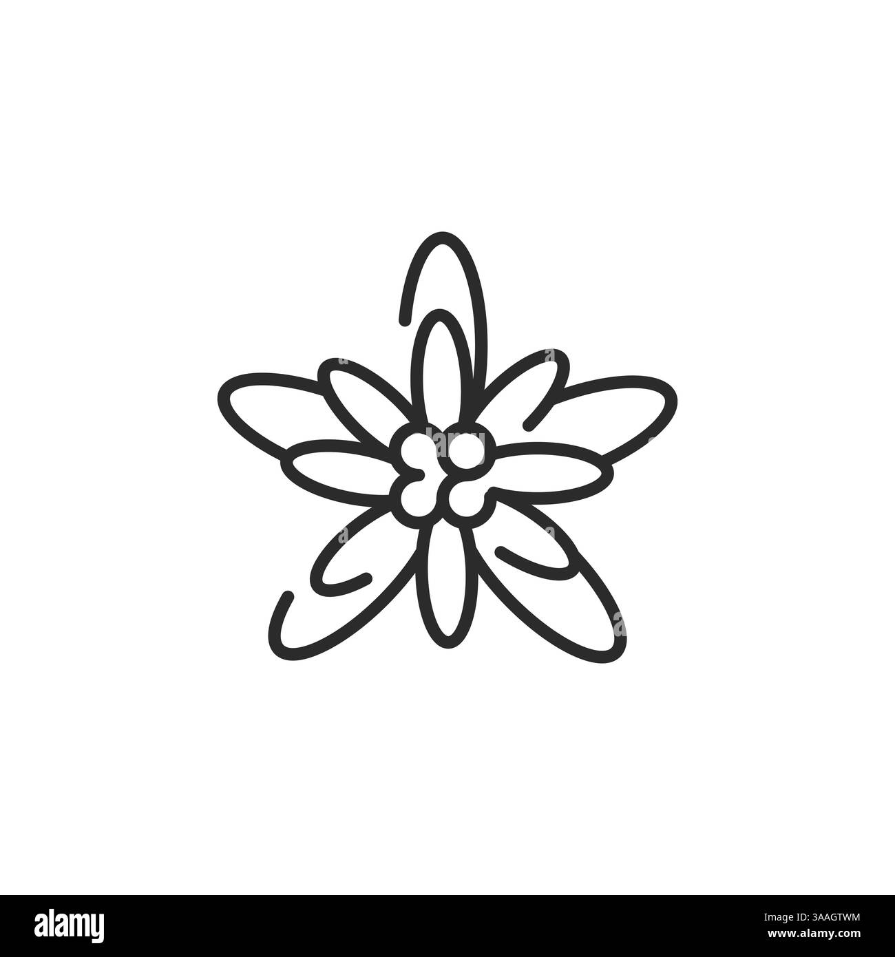 Icona Fiore Edelweiss Illustrazione Vettoriale