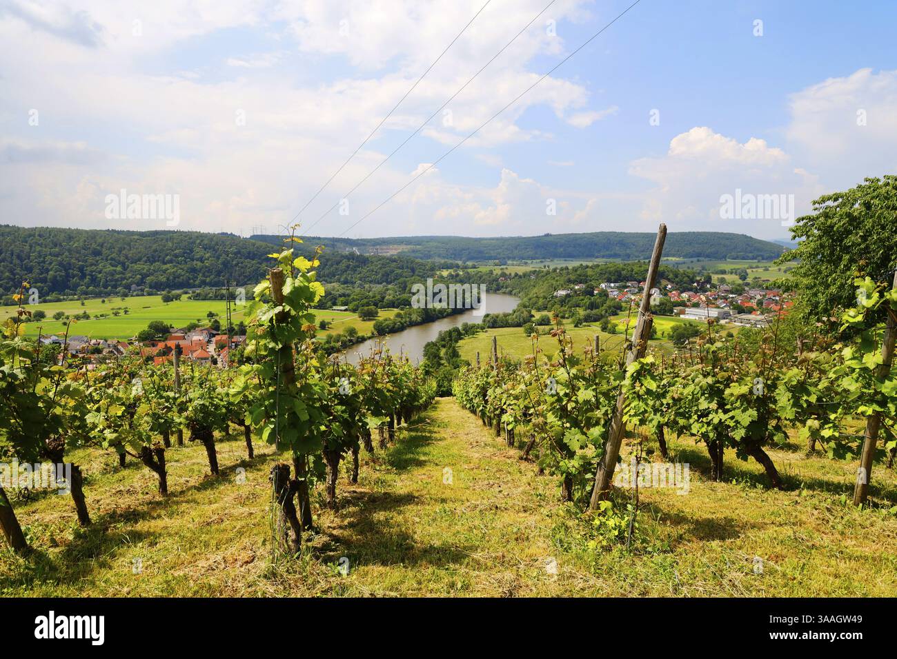 La valle del Neckar, vista dal Michelsberg, Gundelsheim, Baden-Wuerttemberg, Germania, Europa Foto Stock
