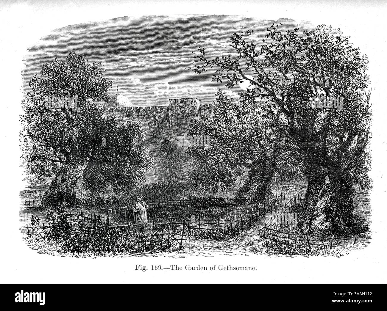 Garden of Gethsemane, Jerusalem dal libro Graven in the rock : or, The Historical accurate of the Bible confirmed by reference to the Assyrian and Egyptian monuments in the British Museum and other by Kinns, Samuel, 1826-1903 pubblicazione data 1891 Foto Stock