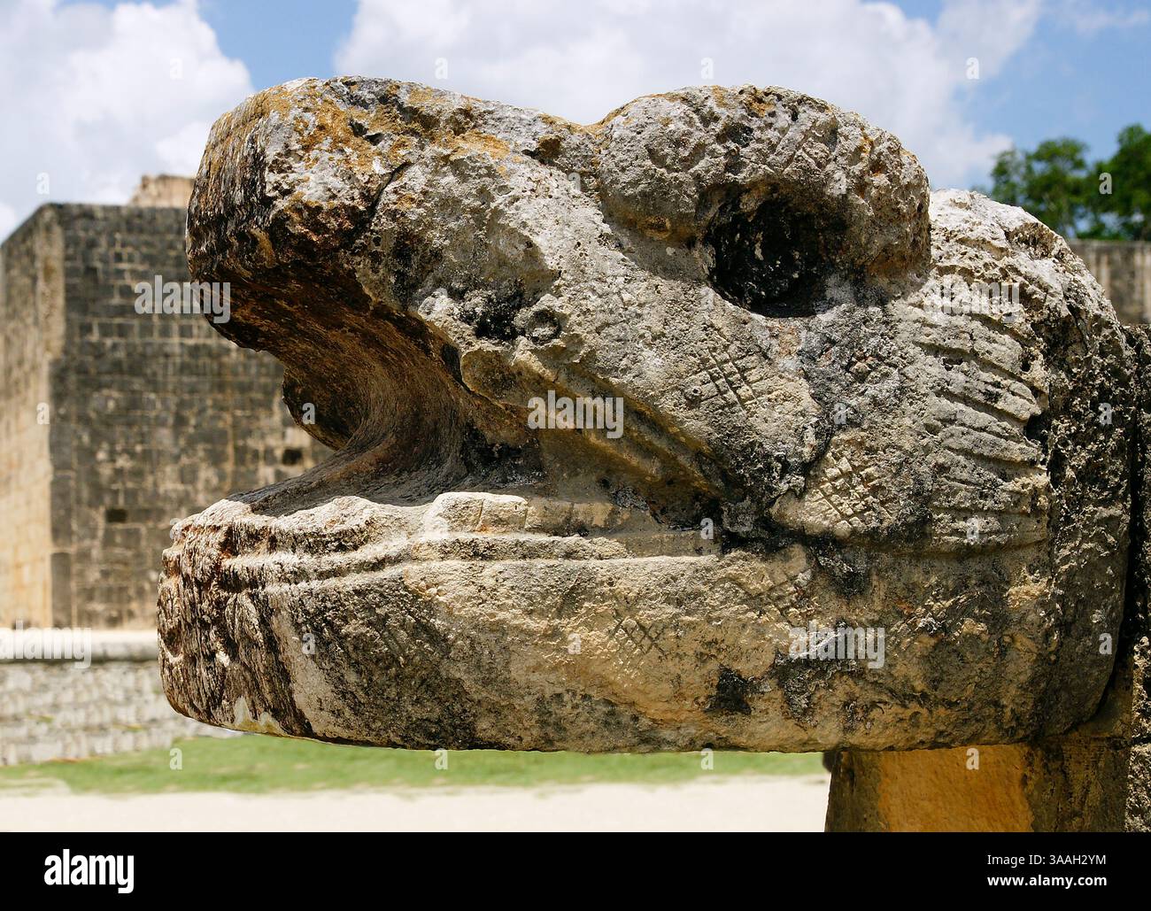 Messico. Yucatan. Chiche Itza. Testa di serpente scolpita in pietra con pareti del campo da gioco. Foto Stock