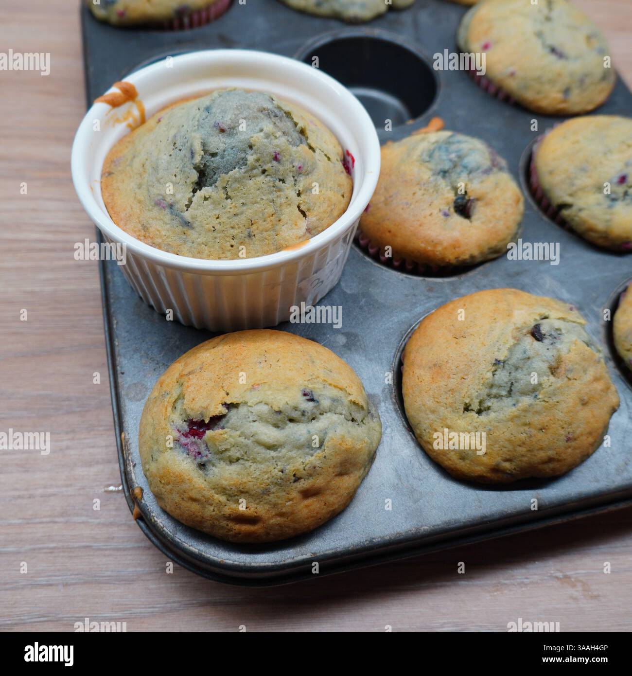 Muffin freschi fatti in casa con cioccolato e frutti di bosco Foto Stock