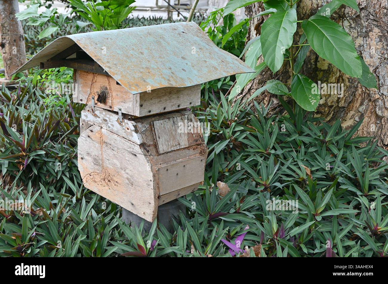 Alveare in legno su sfondo naturale. Foto Stock
