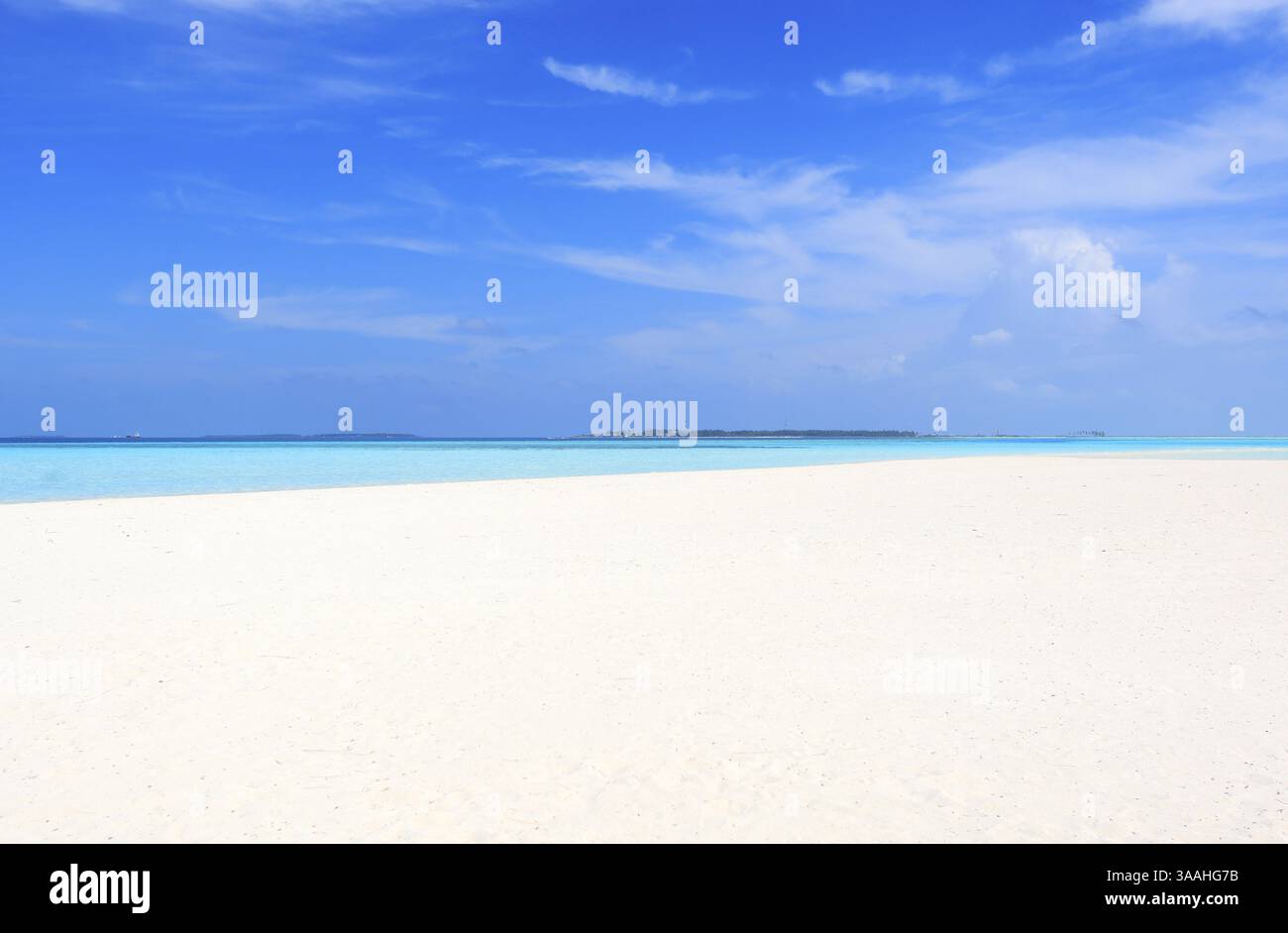 Idilliaca spiaggia con palme alle Maldive, Oceano Indiano Foto Stock
