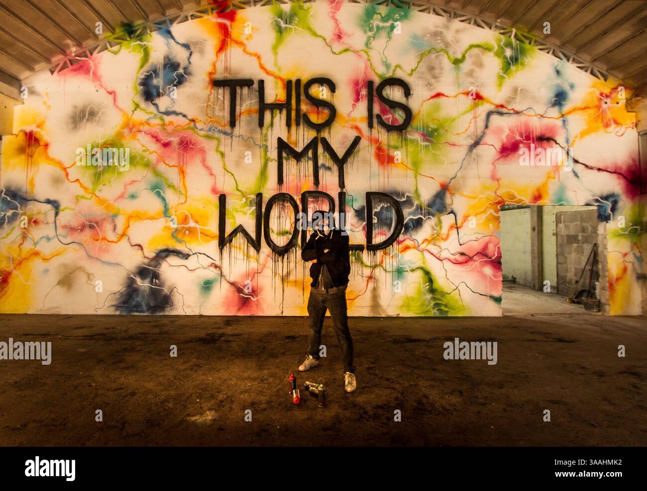 29 marzo 2015 - Kulen Vakuf, Bihac, Bosnia Erzegovina - "This is my World" è stato un gigantesco lavoro di graffiti realizzato dal turco Graffitiâ scrittore artista â MrHURE su un muro di 45 m2 in una vecchia fabbrica abbandonata (ora questa fabbrica è un centro artistico e comunitario a Kulen Vakuf, Bosnia ed Erzegovina dalla società Atlantis vcapâ) (immagine di credito: © Serap Sabah/ZUMA Wire/ZUMAPRESS.com) Foto Stock